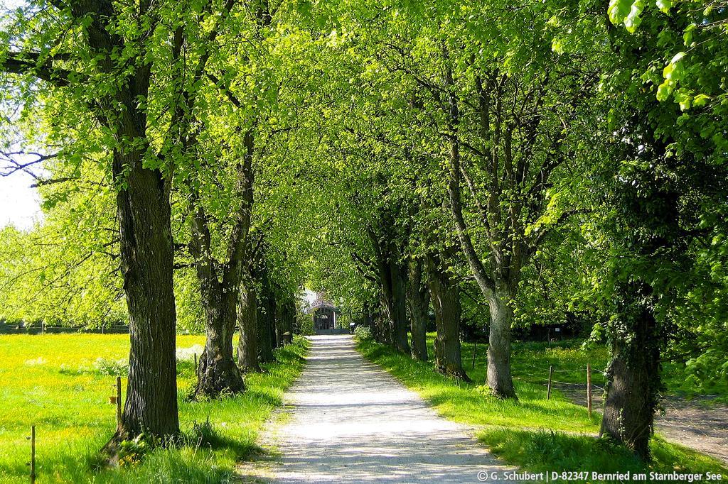 Landgasthof Drei Rosen Bernried am Starnberger See Exteriör bild